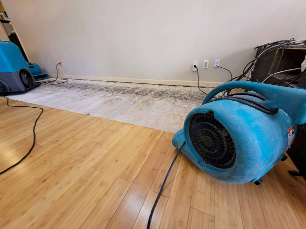 Reliable Basement Flood Cleanup contractor in Hesperia, MI by Hirex Water Damage