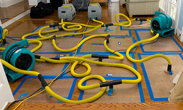 Professional Basement Flood Cleanup technician working in Hesperia, MI