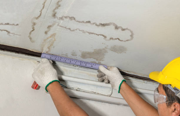 Affordable Water Damage Repair solutions in Hesperia, MI